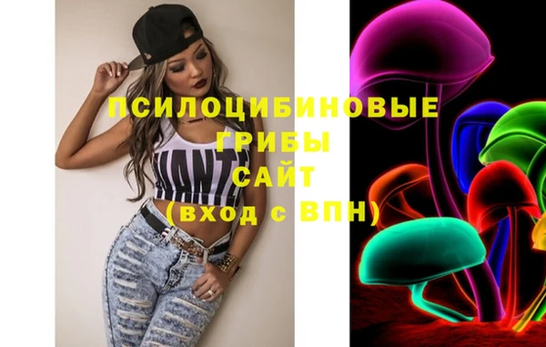 прущие грибы Алексин